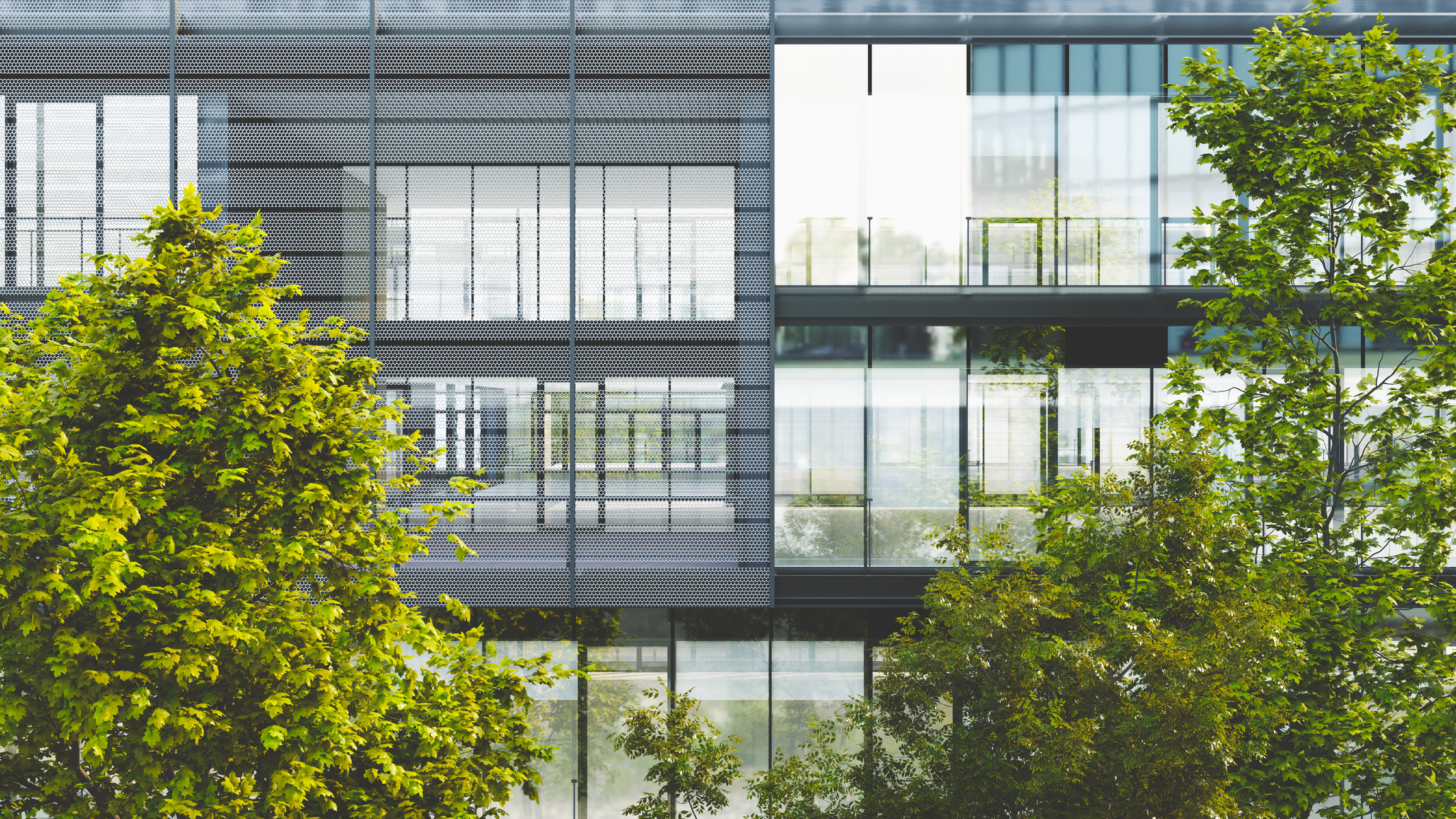 A banner photo depicting a modern, energy efficient building with lush, green trees in the foreground